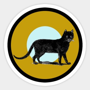 Halloween Black Cat, Signs and Symbols - Ochre and Pale Blue Sticker